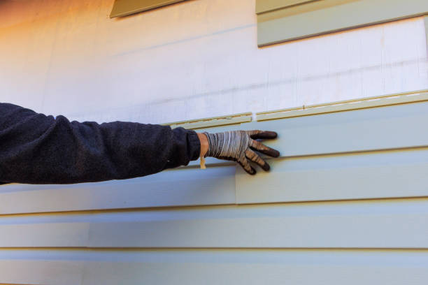 Best Steel Siding Installation  in Bethlehem, WV